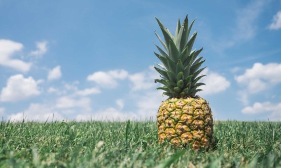 pineapple-867245_1920